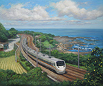 Shicheng Coast_Taroko Express 石城海岸太魯閣號